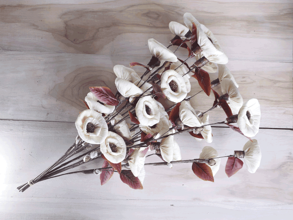 Tecksoi Daisy Corn Rose Sola Wood Flower Stick Premium Quality 100% Natural Pack Of 10