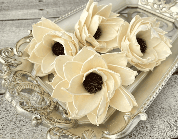 Tecksoi Daisy Eclipse Sola Wood Flower Premium Quality 100% Natural Pack Of 12