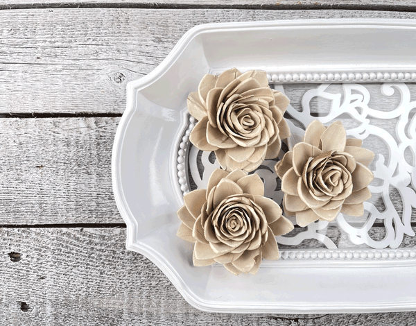 Tecksoi Desert Sola Wood Flower Premium Quality 100% Natural Pack Of 12