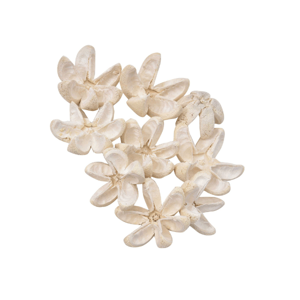 Tecksoi Dried Exotic Arabian Jasmine | 100% Natural | Eco Friendly | Pack Of 12