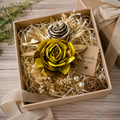 Tecksoi Dried Bloom Branches - Everlasting Flower Stems For Packing | Pack Of 5