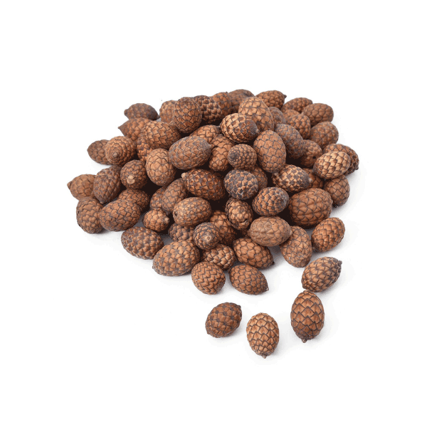 Tecksoi Dried Cane Fruit | Exotic | Eco Friendly | 100% Natural | Premium Quality | Pack Of 12