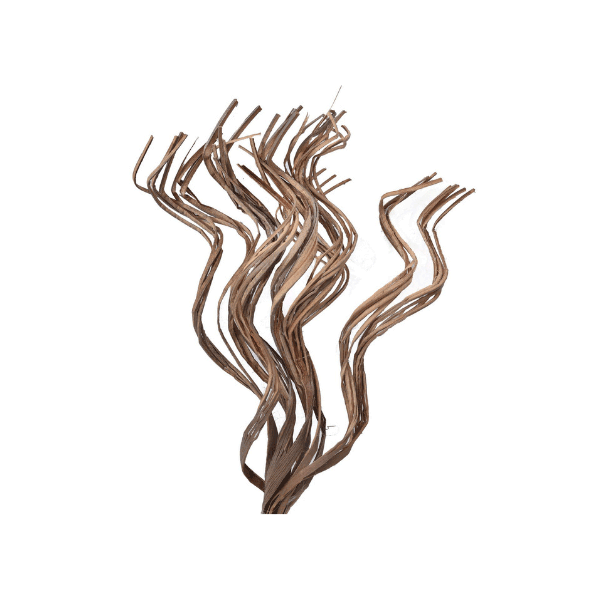 Tecksoi Dried Exotic Coco Curly Stem | 100% Natural | Eco Friendly | Pack Of 12