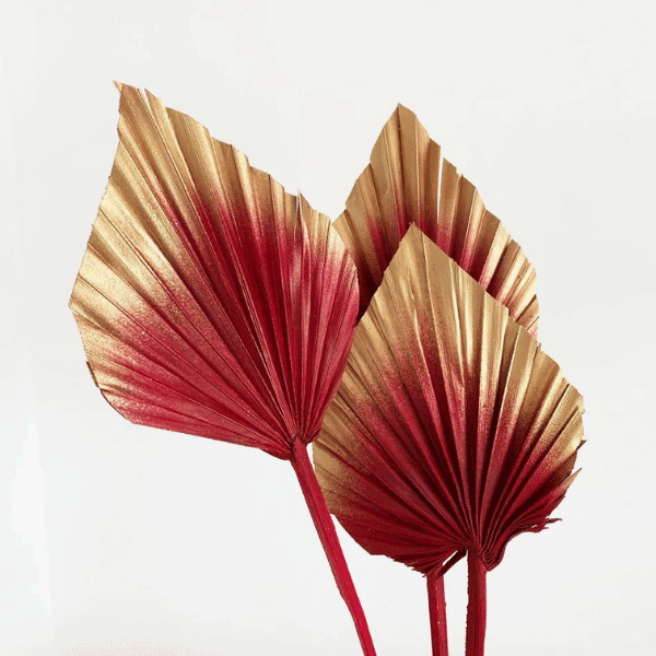 Tecksoi Dried Exotic Golden Palm Leaves | Eco Friendly | 100% Natural | Premium Quality | Pack Of 12