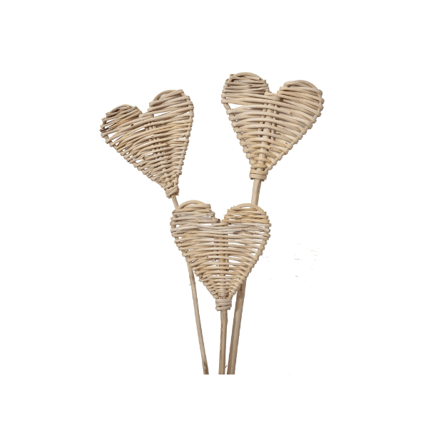 Tecksoi Dried Exotic Lata Heart | 100% Natural | Eco Friendly | Pack Of 12