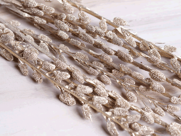 Tecksoi Dried Exotic Litchi Golden Stick Premium Quality 100% Natural Pack Of 10