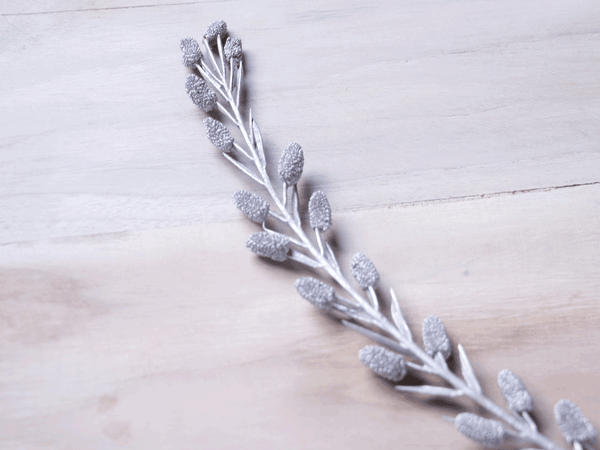 Tecksoi Dried Exotic Litchi Stick Silver Premium Quality 100% Natural Pack Of 10