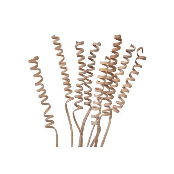 Tecksoi Dried Exotic Palm Spring | 100% Natural | Eco Friendly | Pack Of 12