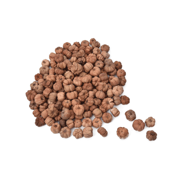 Tecksoi Dried Exotic Putka Pods | 100% Natural | Eco Friendly | Pack Of 12