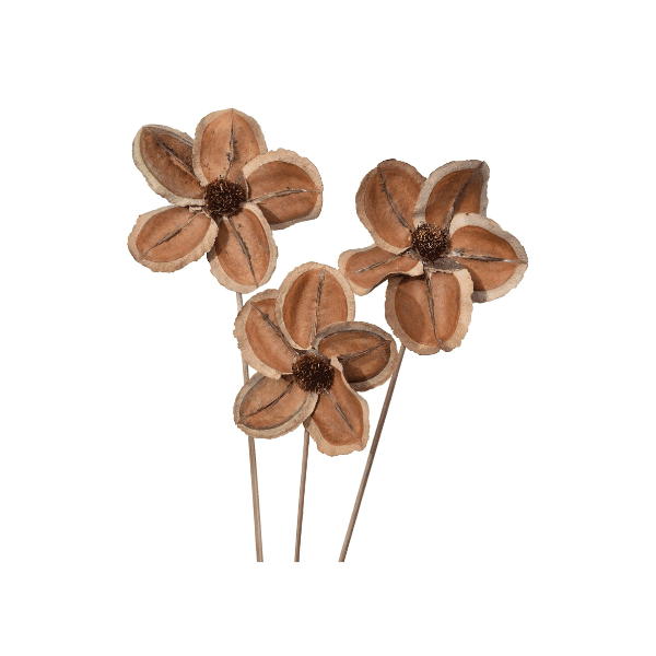 Tecksoi Dried Jacaranda Flower | Exotic | Eco Friendly | 100% Natural | Pack Of 12