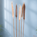 Tecksoi Dried Ladies Finger (Okra) for Decor – Natural & White Decorative Dry Pods | Pack Of 10