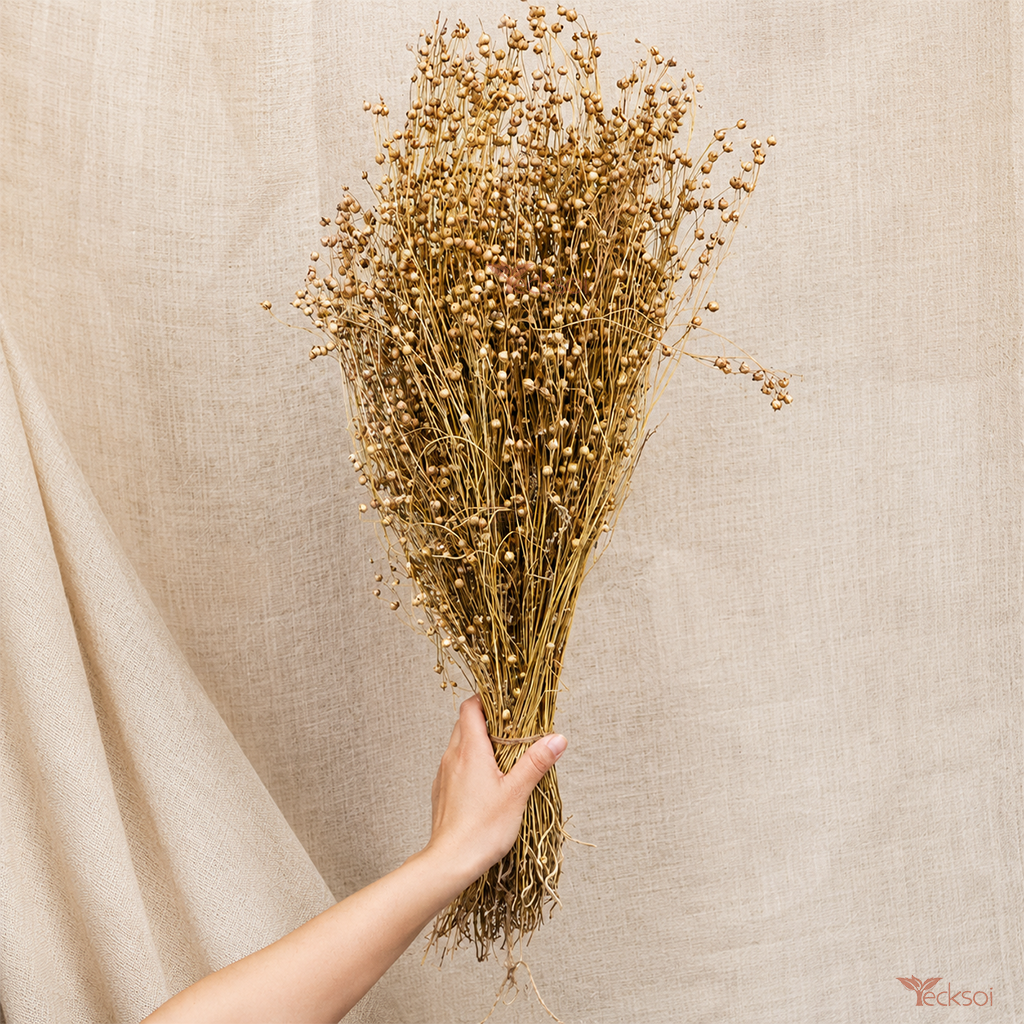 Tecksoi Dried Linum Flax Tishi Grass – Premium 100% Natural Dry Exotic Filler for Bouquets, Floral Arrangements & Decorative Crafts
