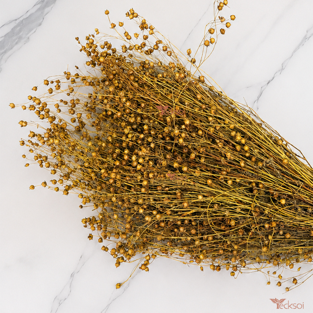 Tecksoi Dried Linum Flax Tishi Grass – Premium 100% Natural Dry Exotic Filler for Bouquets, Floral Arrangements & Decorative Crafts