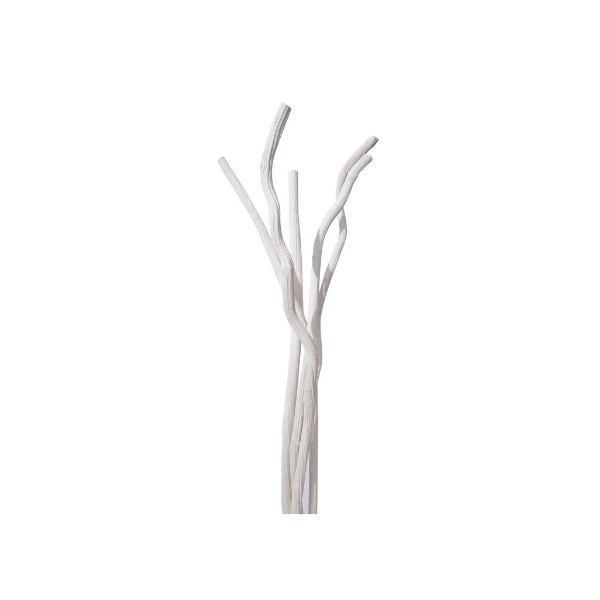 Tecksoi Exotic Dried Lotus Plant | 100% Natural | Eco Friendly | Pack Of 12