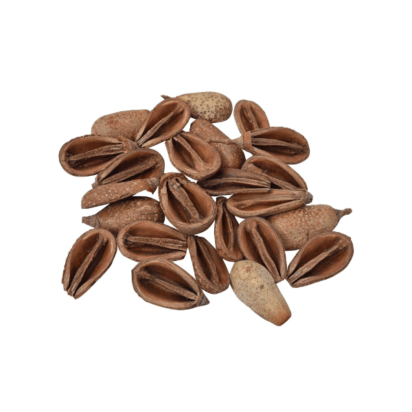 Tecksoi Dried Mike Petals Exotic Premium Quality 100% Natural  Pack Of 12