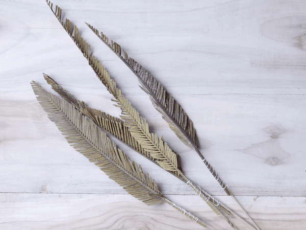 Tecksoi Dried Natural Cycas Leaf With Stem | 100% Natural | Eco Friendly | Premium Quality | Pack Of 12