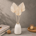 Tecksoi Dried Palm Leaves White For Decor | Pack Of 10