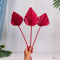 Tecksoi Dried Red Palm Leaves for Vase & Event Decor – Premium Handmade Decorative Palm Leaves | Pack Of 10