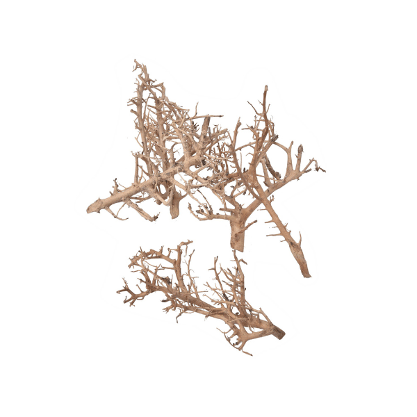 Tecksoi Dried White Bush | Exotic | Eco Friendly | 100% Natural | Pack Of 12