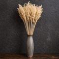 Tecksoi Dried White Corn Grass Bundle with Stick – Premium Handmade 100% Natural Dried Grass for Vase Decor, Floral Arrangements & Boho Home Decoration | Pack Of 10
