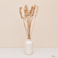 Tecksoi Dried Willow Curly Springs | Pack Of 10