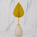 Tecksoi Dried Yellow Palm Leaves – Premium Decorative Palm Leaves for Home Decor, Floral Arrangements & DIY Crafts | Pack Of 10