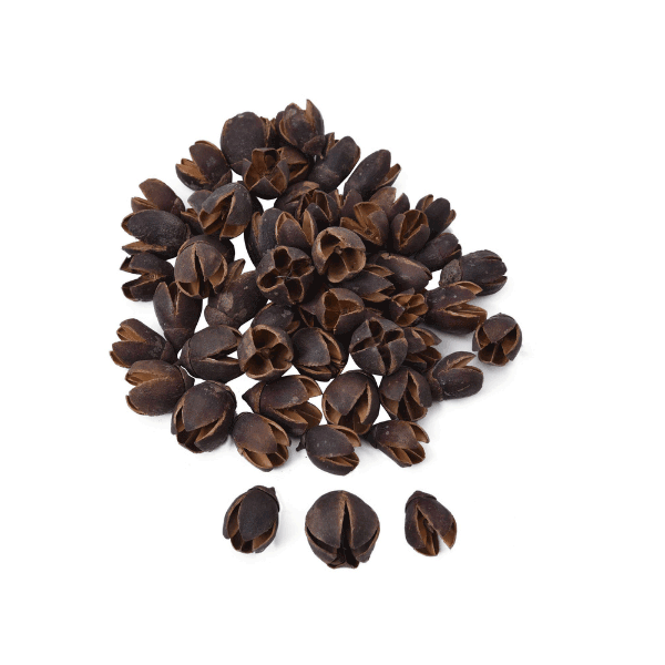 Tecksoi Dry Exotic Bakuli Pods Pack Of 12