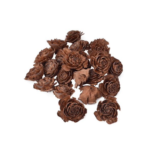 Tecksoi Dry Exotic Cedar Rose Pack Of 12