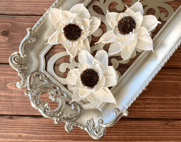 Tecksoi Ecipse Sola Wood Flower Premium Quality 100% Natural Pack Of 12