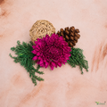 Tecksoi Embrace in a Bunch – Handmade 100% Natural Dry Flower Bunch for Gifting, Packaging & Elegant Decor | Pack Of 5