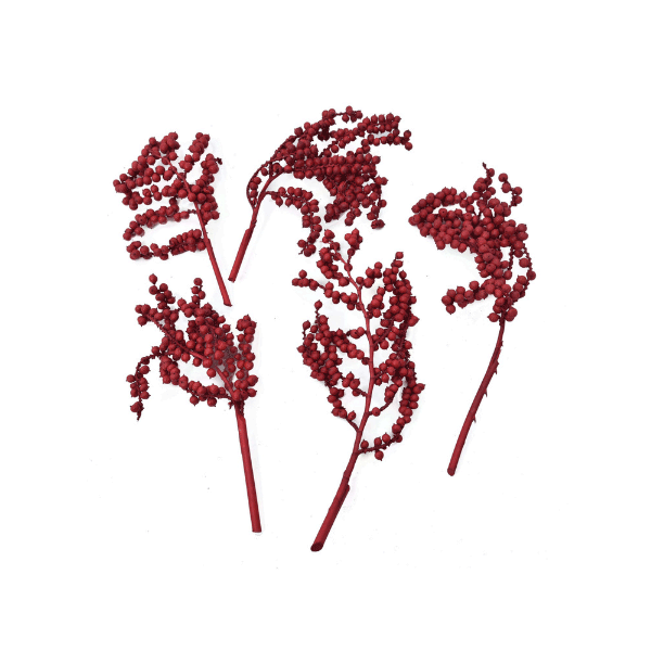 Tecksoi Exotic Dried Canella Red Berries | 100% Natural | Eco Friendly | Pack Of 12