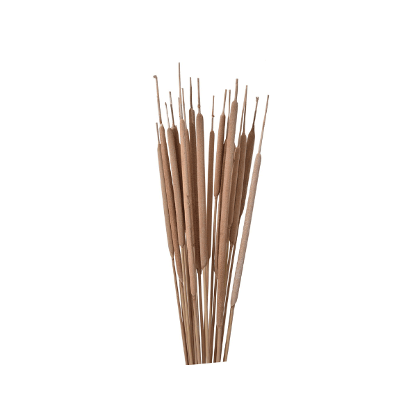 Tecksoi Exotic Dried Cattails Stick | 100% Natural | Eco Friendly | Pack Of 12