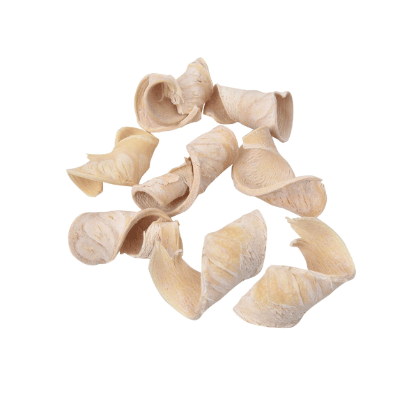 Tecksoi Exotic Dried Creamy Elephant Ear Leaves | Eco Friendly | 100% Natural | Pack Of 12