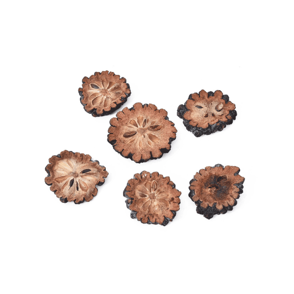 Tecksoi Exotic Dried Custard Apple Slice | Eco Friendly | 100% Natural | Pack Of 12