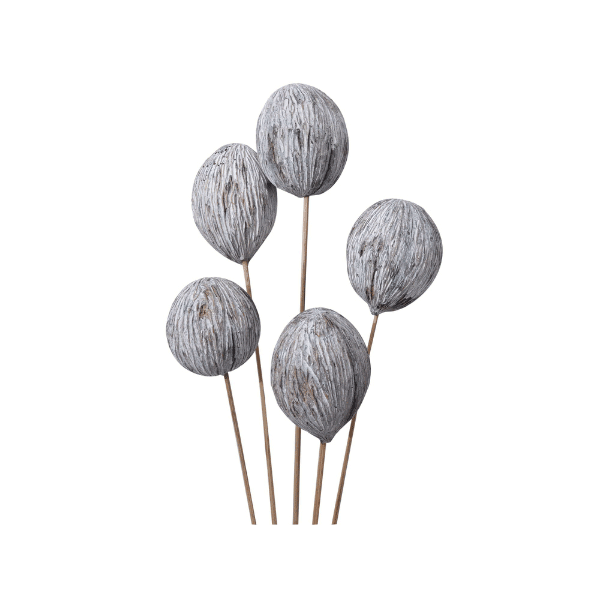 Tecksoi Exotic Dried Mintola Balls White | 100% Natural | Eco Friendly | Pack Of 12