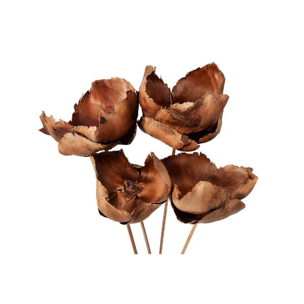 Tecksoi Exotic Dried Palm Cups | Eco Friendly | 100% Natural | Pack Of 12