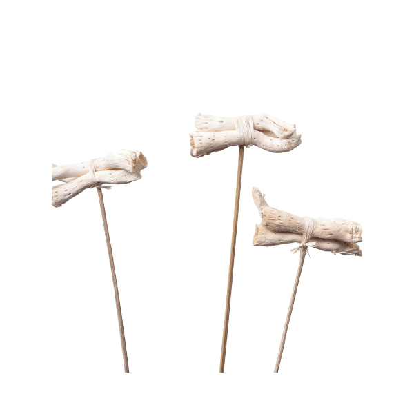 Tecksoi Exotic Dried Pepe Cone Possy | Eco Friendly | 100% Natural | Pack Of 12