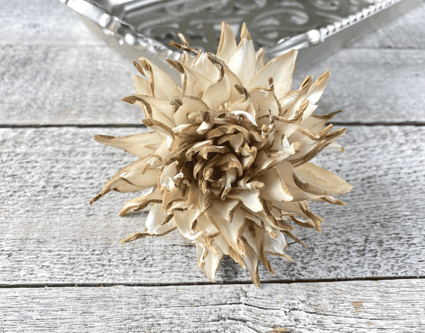 Tecksoi Firely Sola Wood Flower Premium Quality 100% Natural Pack Of 12