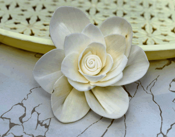 Tecksoi Fleur Sola Wood Flower Premium Quality 100% Natural Pack Of 12