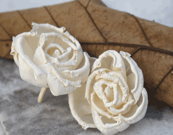 Tecksoi Floryn Sola Wood Flower Premium Quality 100% Natural Pack Of 12