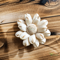Tecksoi Gardenia Sola Wood Flower – Premium Handcrafted Floral Elegance for Home &amp; Event Decor  | Pack Of 10
