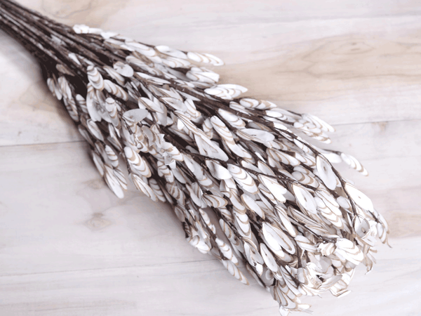 Tecksoi German Blossom Sola Wood Flower Stick Premium Quality 100% Natural Pack Of 10