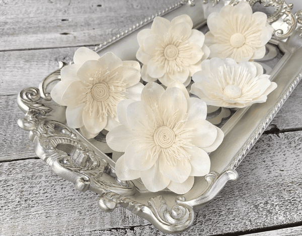 Tecksoi German Pose Sola Wood Flower Premium Quality 100% Natural Pack Of 12