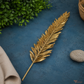 Tecksoi Golden Cycas Palm Leaf – Premium Dried Palm Leaf for Modern Home Decor, Vase Styling & Luxury Interior Decoration | Pack Of 5
