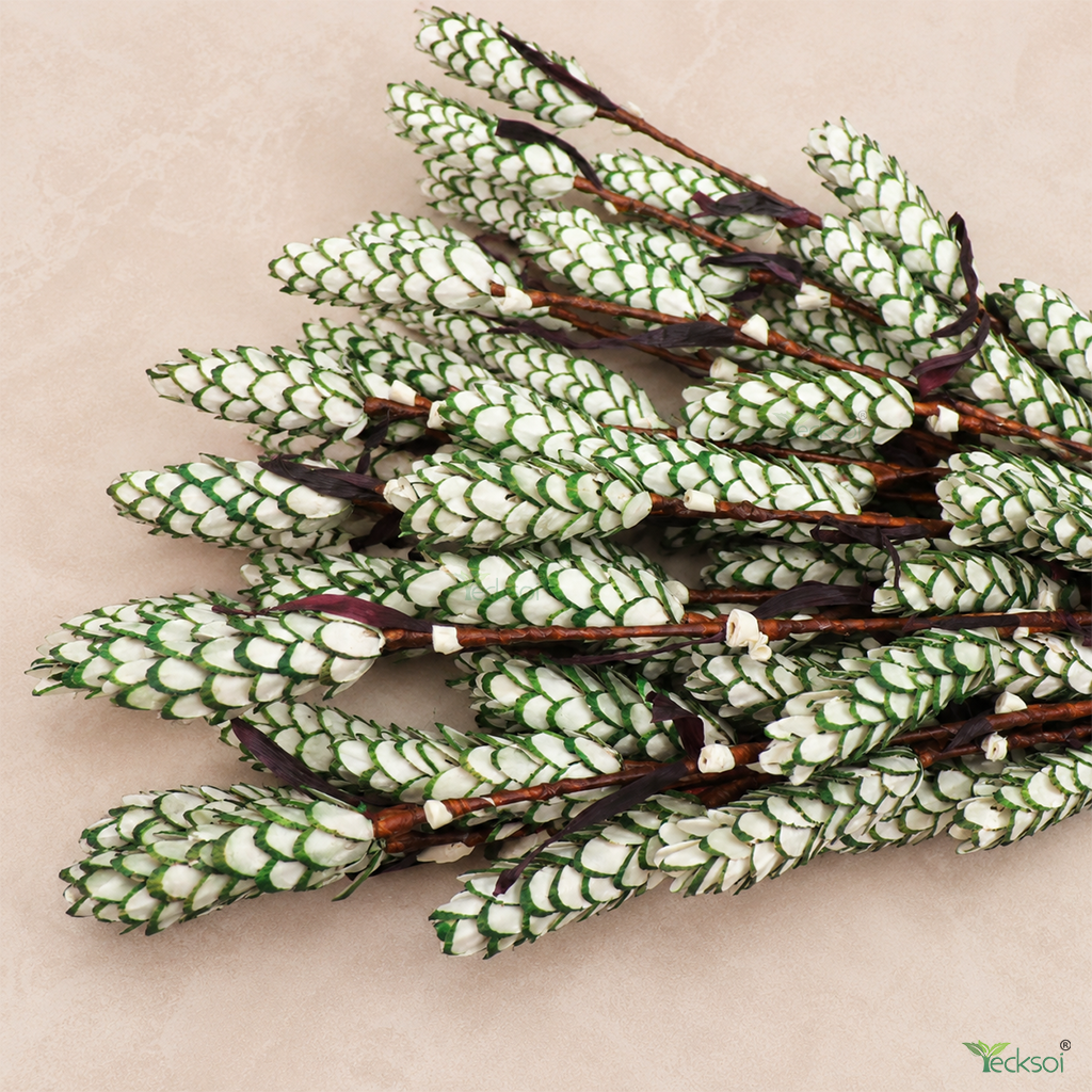 Tecksoi Green Chatka Pata Pine Sola Wood Flower Sticks – Handmade Natural Dry Flower Decor for Home & Event Decoration | Pack Of 5