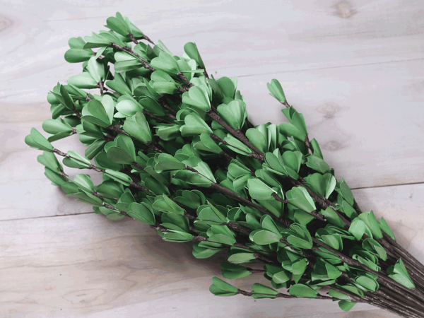 Tecksoi Green Lily Sola Wood Flower Stick Premium Quality 100% Natural Pack Of 10