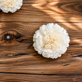 Tecksoi Handmade Carnation Sola Wood Flower – Premium Handmade Natural Dry Flower for Elegant Home, Wedding & Floral Decoration | Pack Of 10