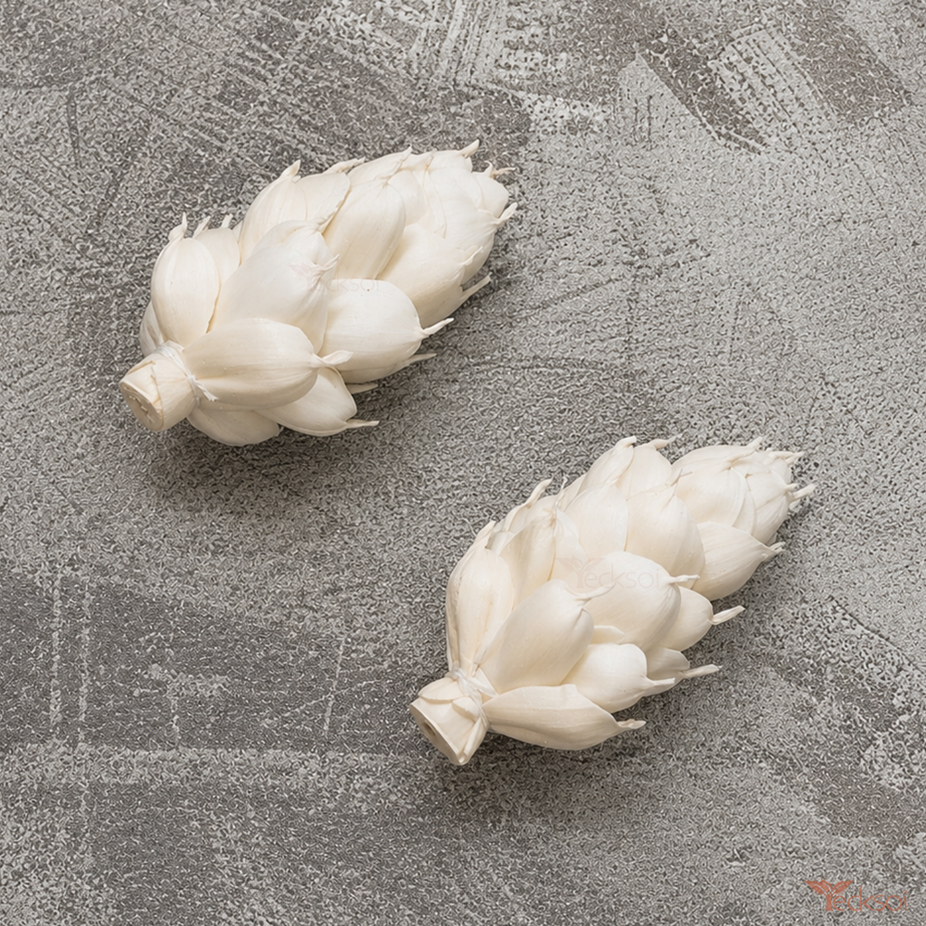Tecksoi Alpinia Sola Wood Flower – Realistic Handcrafted Floral Decor Inspired by Tropical Elegance | Pack Of 10