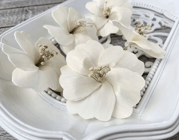 Tecksoi Hibiscus Sola Wood Flower Premium Quality 100% Natural Pack Of 12