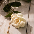 Tecksoi Hybrid Tea Rose Sola Wood Flower – Realistic Handcrafted Floral Beauty for Elegant Decor | Pack Of 10